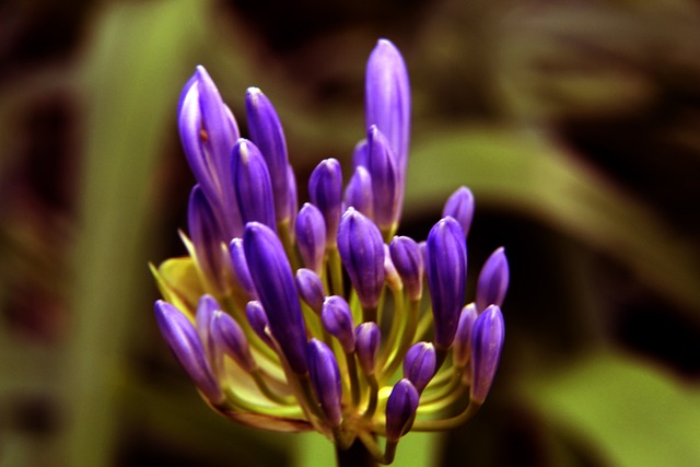 不再是标签 不再是标签