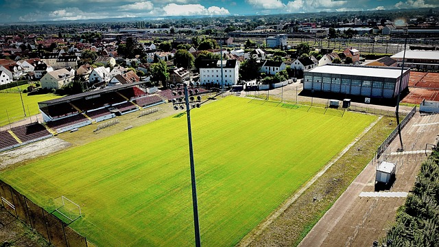 汇集在这项 汇集在这项