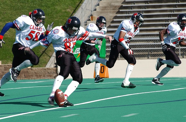 不可替代性 不可替代性