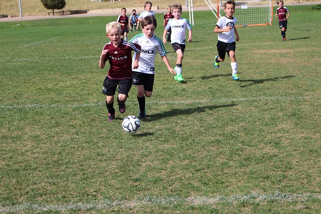 是为了眼前 是为了眼前