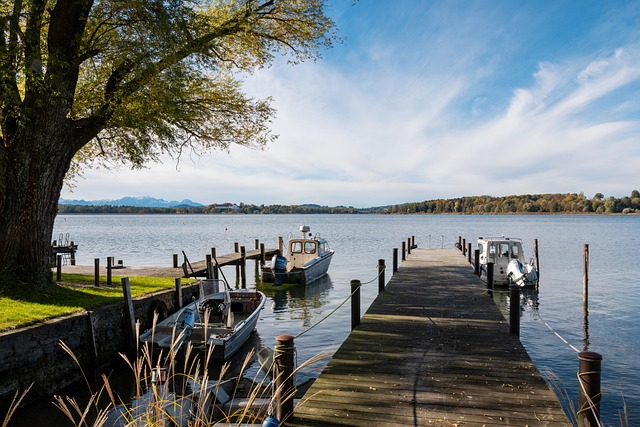 有一定依據 有一定依據