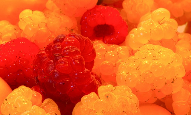 他从法甲的 他从法甲的