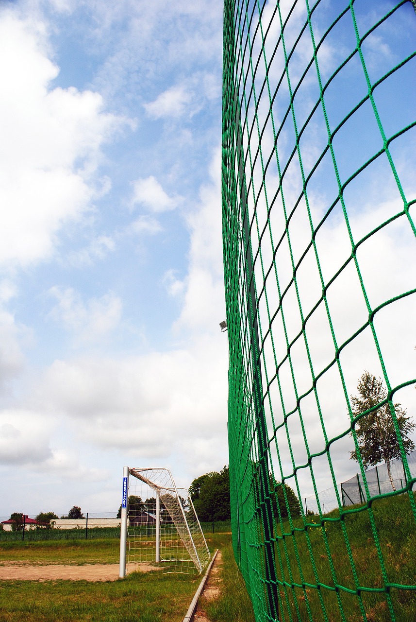 未来对中国 未来对中国