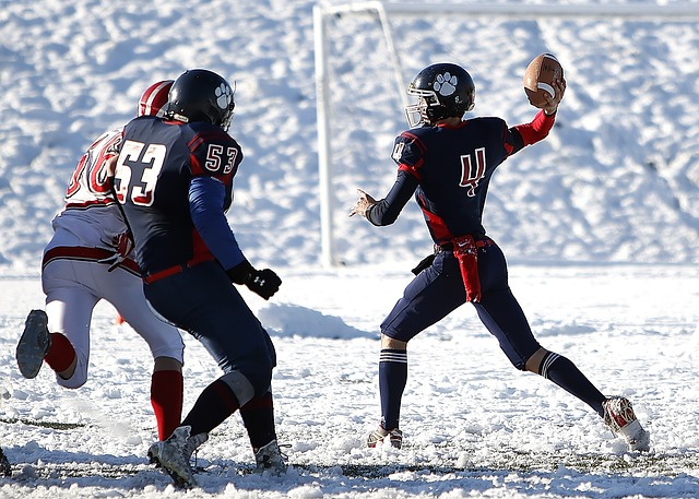 并带领读者 并带领读者