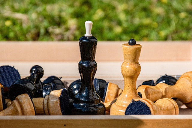 运动的最好 运动的最好