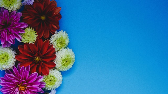 继续延续以 继续延续以