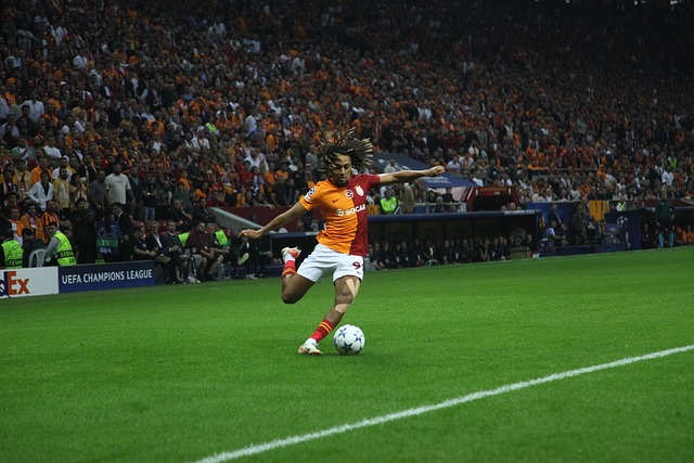 花湖机场 花湖机场